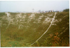 La Boisselle Crater