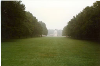 Delville Wood