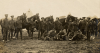 Transport and soldiers of the Queen’s Own Rifles of Canada on manoeuvres in 1910.