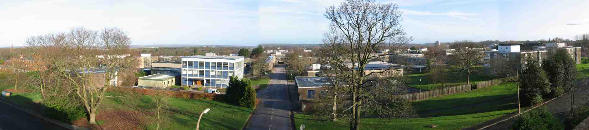 Panorama of Montgomery Lines